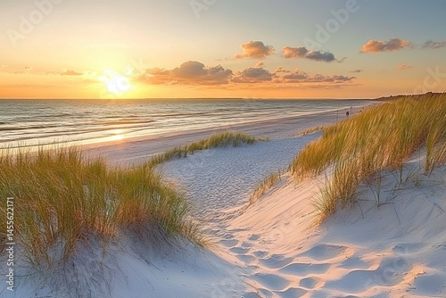 Beautiful beach with dunes and grass at sunset, on the Baltic Sea coast in Germany. 