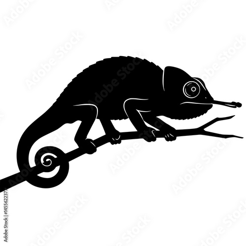 chameleon vector illustration