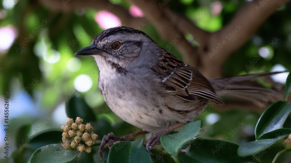 Fototapeta premium Close-up view of a small bird perched on foliage.