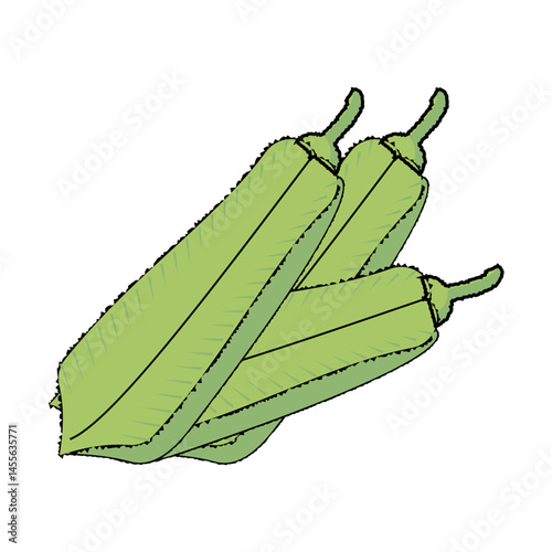 svg illustration of asian tropical fruits