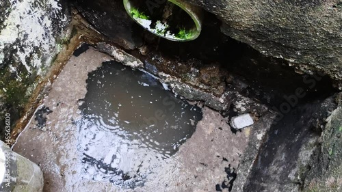 A scene of a polluted outdoor sewer with stagnant and dirty water, surrounded by algae and garbage.