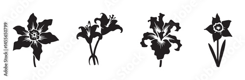Set of black silhouettes of iris, narcissus, and lily flowers isolated on a white background  