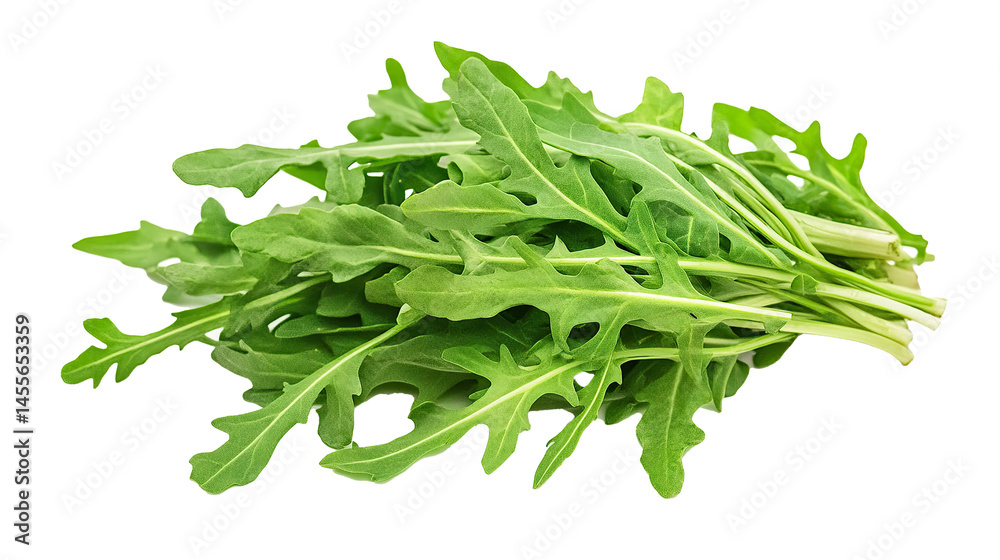 Arugula/Rocket Isolated in White background, Full size Vegetable Arugula/Rocket Isolated in White background, Full size Vegetable