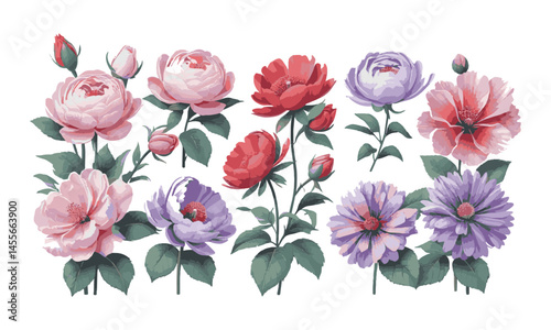 Modern vector-style botanical illustration featuring different realistic flowers. easily scalable and editable
