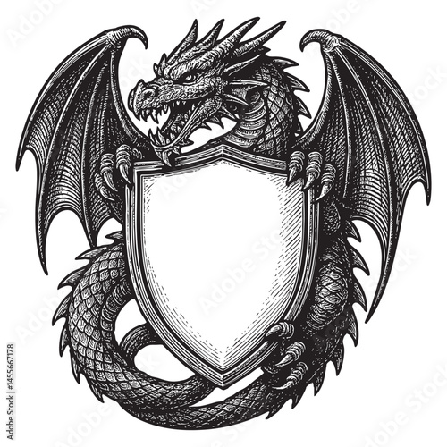 Dragon Heraldic Coat of Arms blank Shield woodcut engraving vector illustration