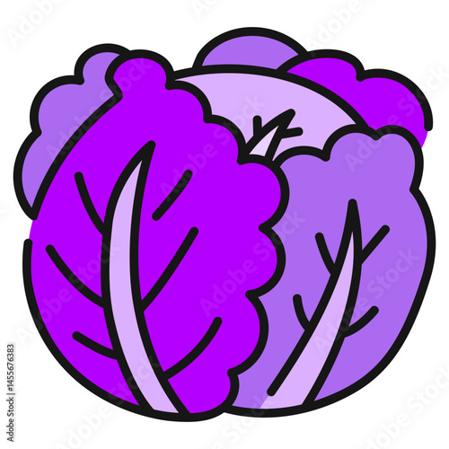 Purple Cabbage Filled line Icon