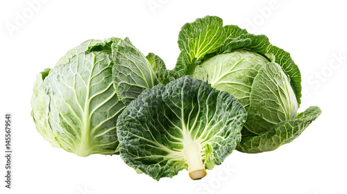 Cabbage Isolated in White background, Full size Vegetable