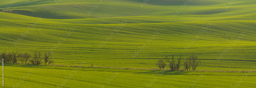 Beautiful spring fields in the Oder river valley in Brandenburg, Germany