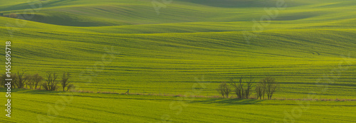 Obraz na płótnie Beautiful spring fields in the Oder river valley in Brandenburg, Germany w salonie
