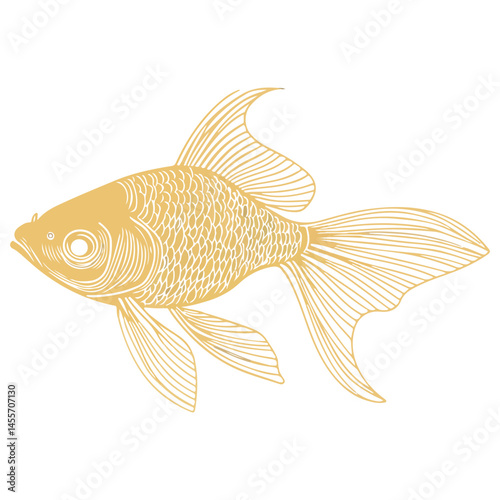 goldfish, animal, vector, transparent background, fish, aquarium, water, ocean, sea, isolated, marine, nature, fin, reef, underwater, swimming, life, cute, pet, gold fish, golden