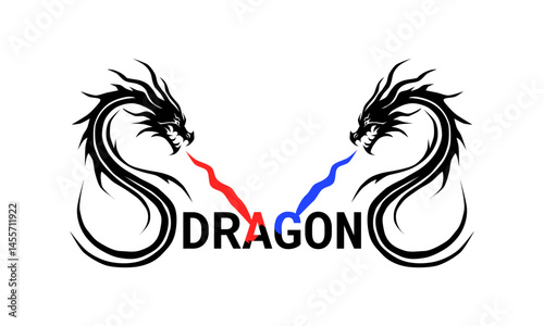 fire and water dragon logo vector