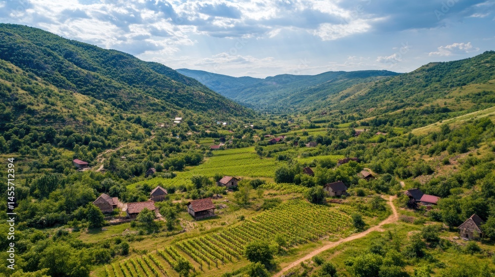 Fototapeta premium Vineyards and farmhouses in green hills and valleys