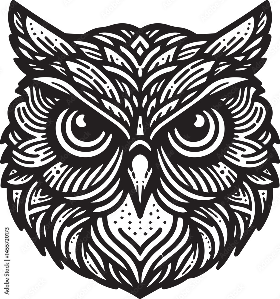 Obraz premium Owl Face