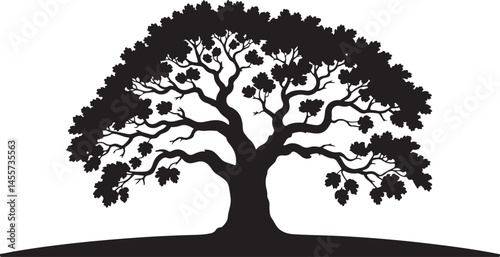 This title emphasizes the grandeur and resilience of the oak tree, symbolizing strength and timeless beauty in its silhouette.