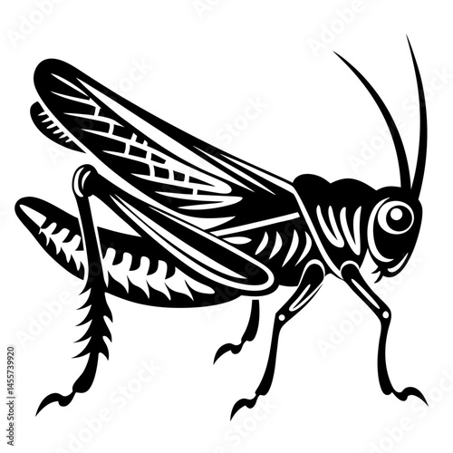 Black Fly Silhouette Vector Illustration - Insect, Bug Art, Nature Illustration