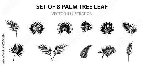 Tropical leaves silhouette clipart set. Leaf drawing icon and sign clip art collection like palm, fern, monstera and banana monochrome elements vector illustration.