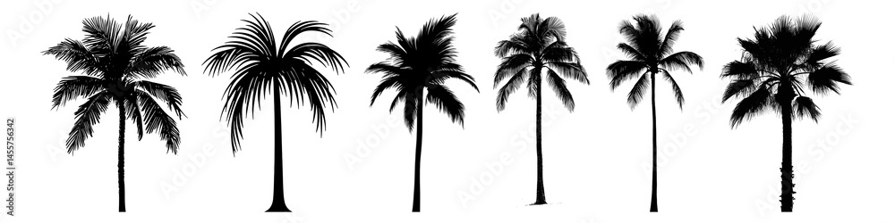 PNG Silhouetted tropical palm trees collection, element set on transparent background PNG Silhouetted tropical palm trees collection, element set on transparent background