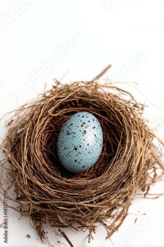 Wallpaper Mural Close Up of a Blue Speckled Egg Resting Peacefully Inside a Natural Bird Nest on White Background Torontodigital.ca