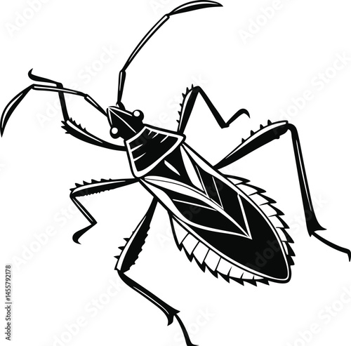 Vector silhouette of an assassin bug on a white background
