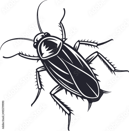 Vector silhouette of a cockroach insect isolated on white background

