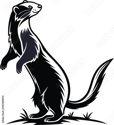 Vector silhouette of a ferret in motion on a plain white background