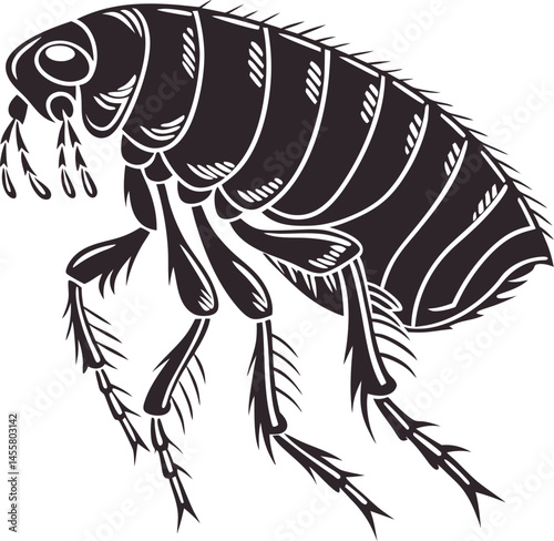 Vector Silhouette of Flea on White Background