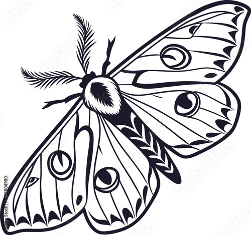 Vector silhouette of gypsy-moth on a plain white background

