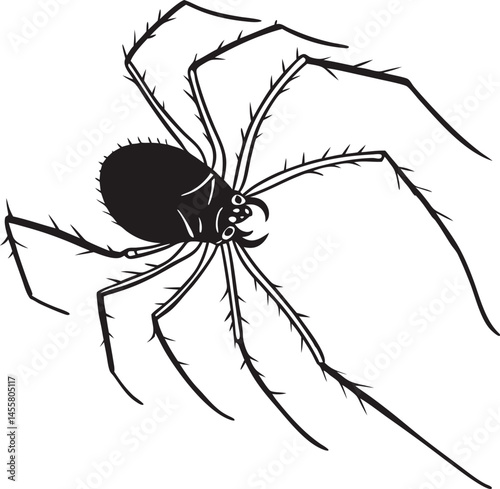 Vector silhouette of harvestman spider on a plain white background