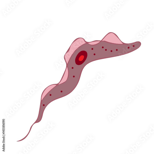 trypanosoma isolated on white background science illustration