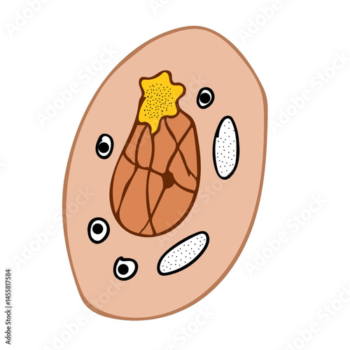 yeast isolated on white background science illustration