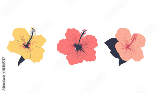 Vibrant Tropical Hibiscus Flowers Vector Art Set for Hawaiian Floral Designs