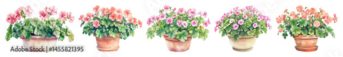 PNG Vibrant watercolor potted flowers, element set on transparent background