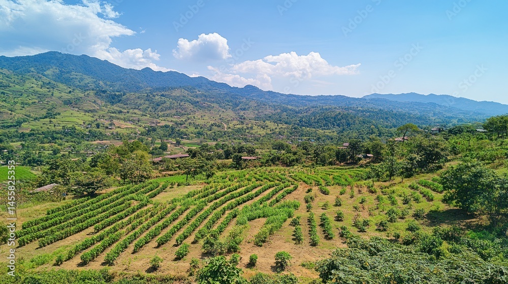 Fototapeta premium Mountain farmland crop fields aerial view