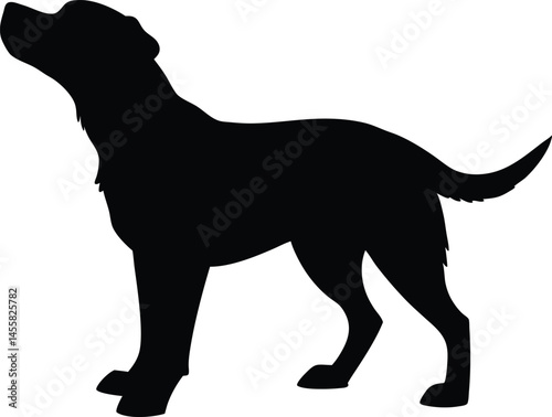 Dog Silhouette Standing Pet Animal Black Vector Illustration