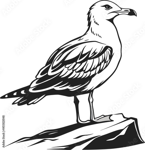 Vector silhouette of a Sit seagull on a plain white background