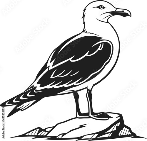  Vector silhouette of a sit seagull on a plain white background