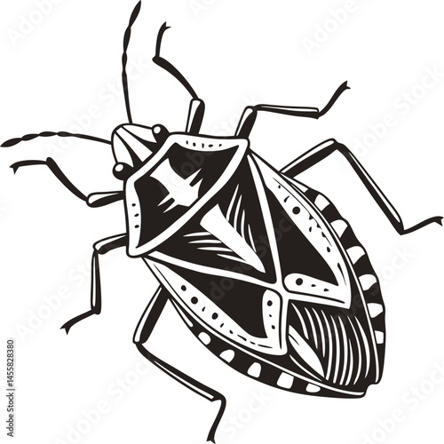 Vector silhouette of stink bug on a plain white background