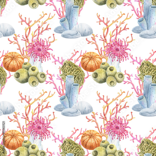 Seamless watercolor pattern with colorful corals, sea anemone, sponges, and sea urchins on a white background. Ideal for ocean-themed fabrics, wallpapers, and summer textile design projects.