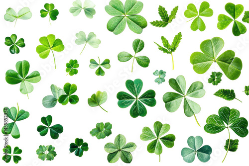 Collection of green lucky clovers illustrated in bright style on a transparent white background image