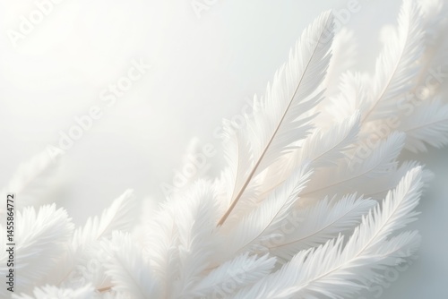 delicate background of overlapping white feathers, soft shadows, airy and gentle texture, elegant designs