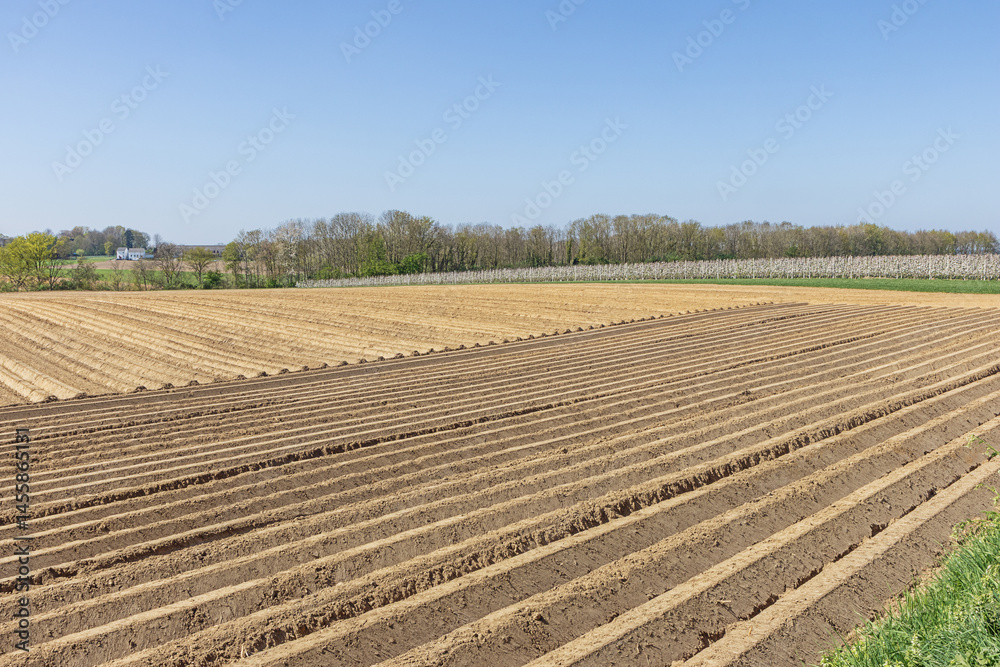 Ploughed field and an blossoming orchard on a hill above the Meuse Valley near Maastricht Ploughed field and an blossoming orchard on a hill above the Meuse Valley near Maastricht