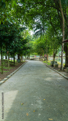 Wallpaper Mural A peaceful walkway shaded by dense green trees, leading through a quiet park area near a pond Torontodigital.ca