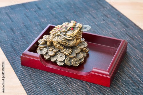 Money frog with the coin, feng shui symbol