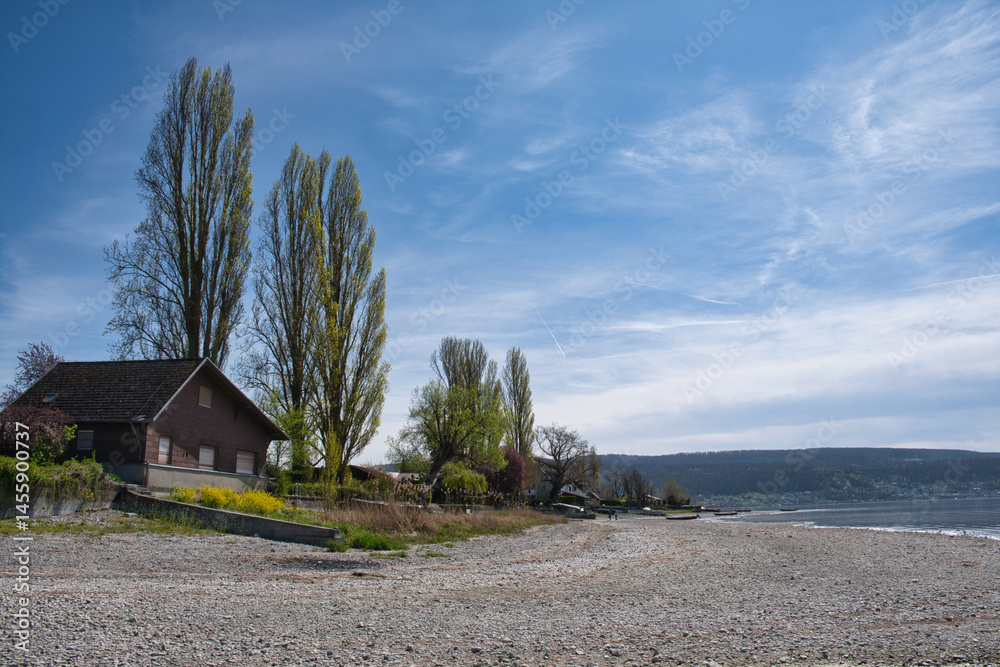 Bodensee, am Seeufer der Insel Reichenau bei Niedrigwasser