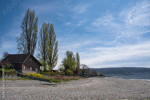 Obraz na płótnie Bodensee, am Seeufer der Insel Reichenau bei Niedrigwasser w salonie