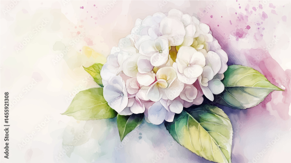 Obraz premium Elegant Watercolor Hydrangea Vector Painting