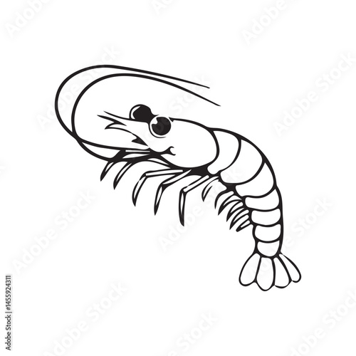 vector illustration of shrimp