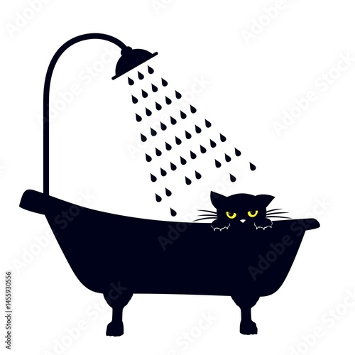The silhouette of bath with cat.