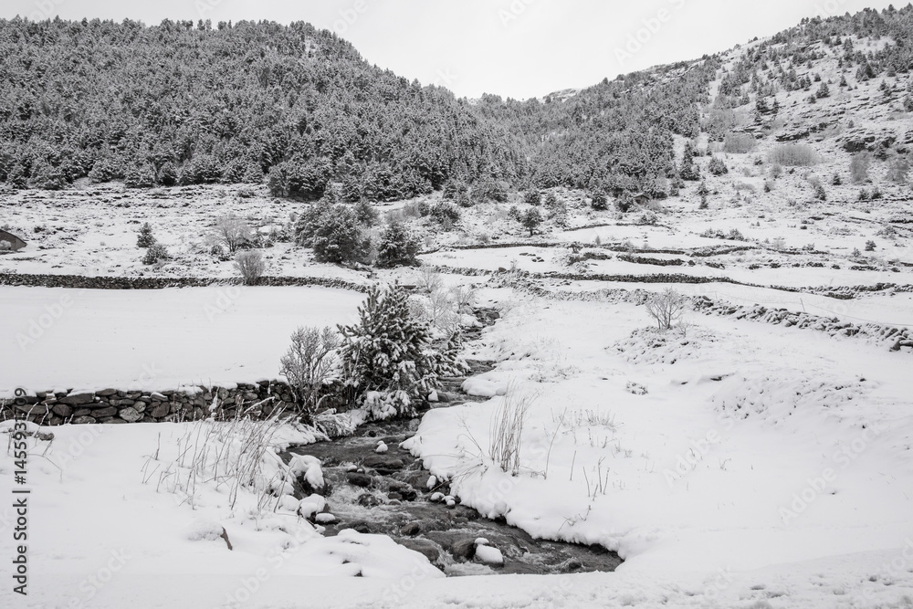 Fototapeta premium Río y nieve