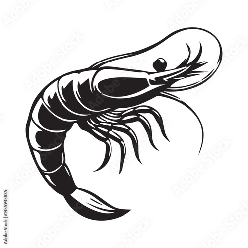vector illustration of shrimp